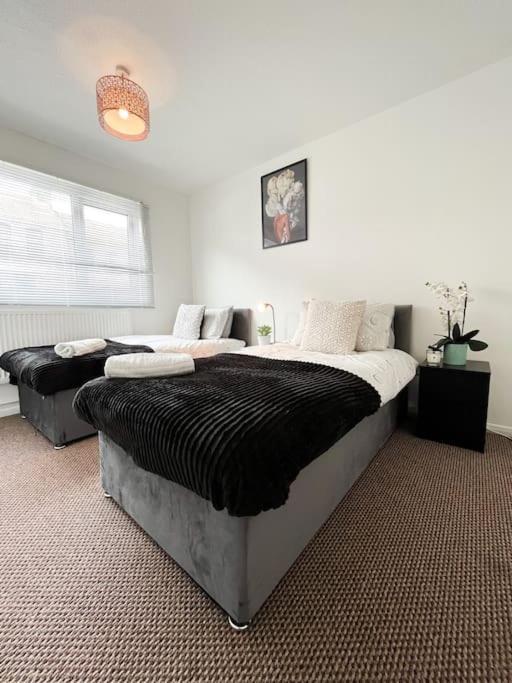 3 Bedroom House With Free Parking チャタム エクステリア 写真