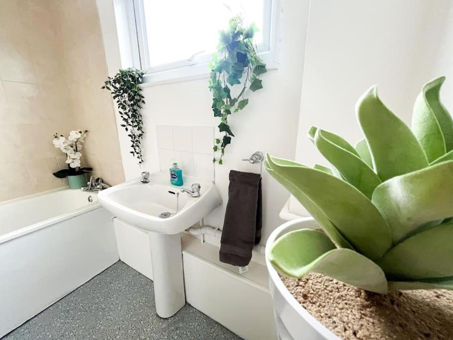 3 Bedroom House With Free Parking チャタム エクステリア 写真