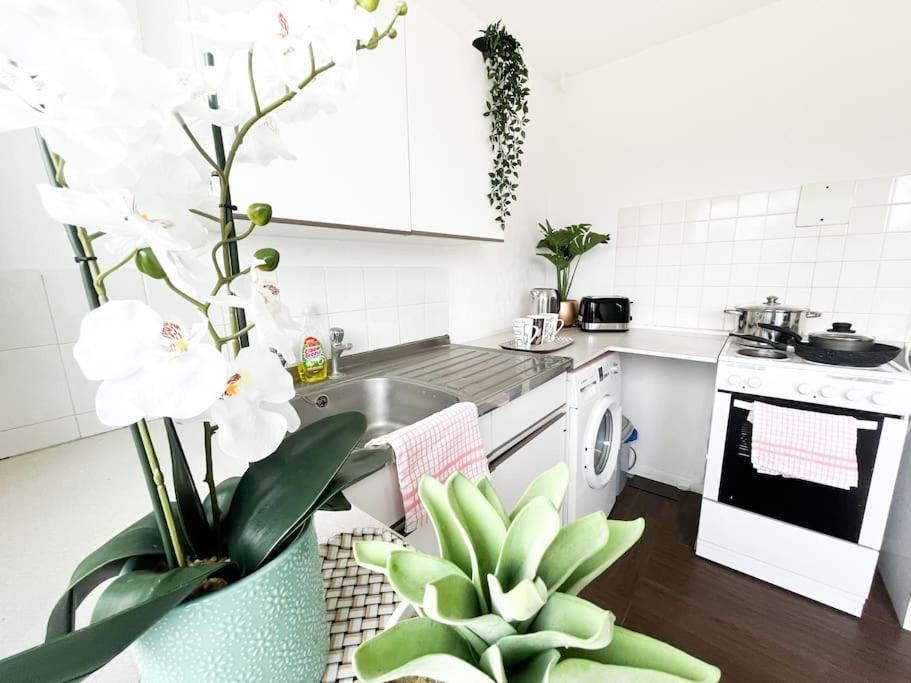 3 Bedroom House With Free Parking チャタム エクステリア 写真